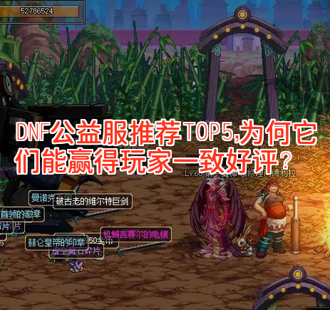 DNF公益服推荐TOP5，为何它们能赢得玩家一致好评？